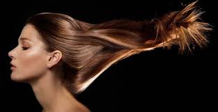 Imagem do carrossel 2